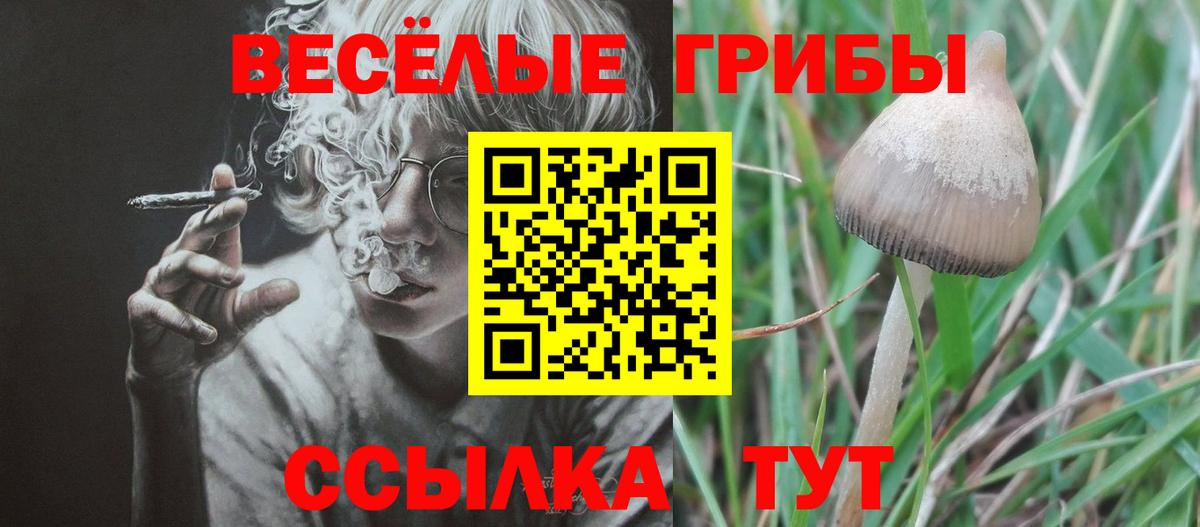 Советск  Псилоцибиновые грибы ЛСД  Вход с VPN 